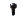 TRACK BOLT - PERNO DE ZAPATA M20X57 +21694